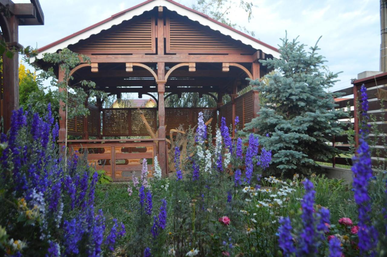 Cabane De Lemn Костинешти Экстерьер фото