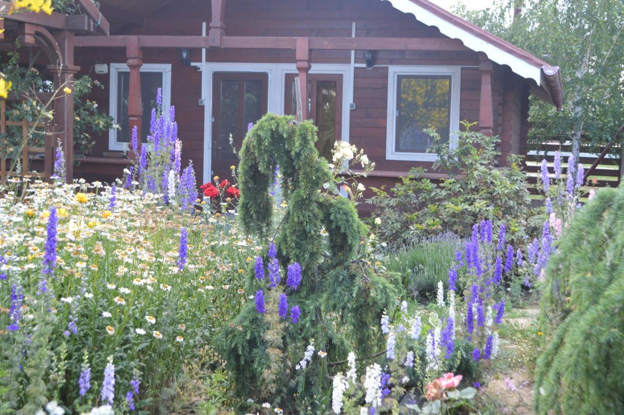 Cabane De Lemn Костинешти Экстерьер фото